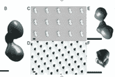 Biotechnologies_1