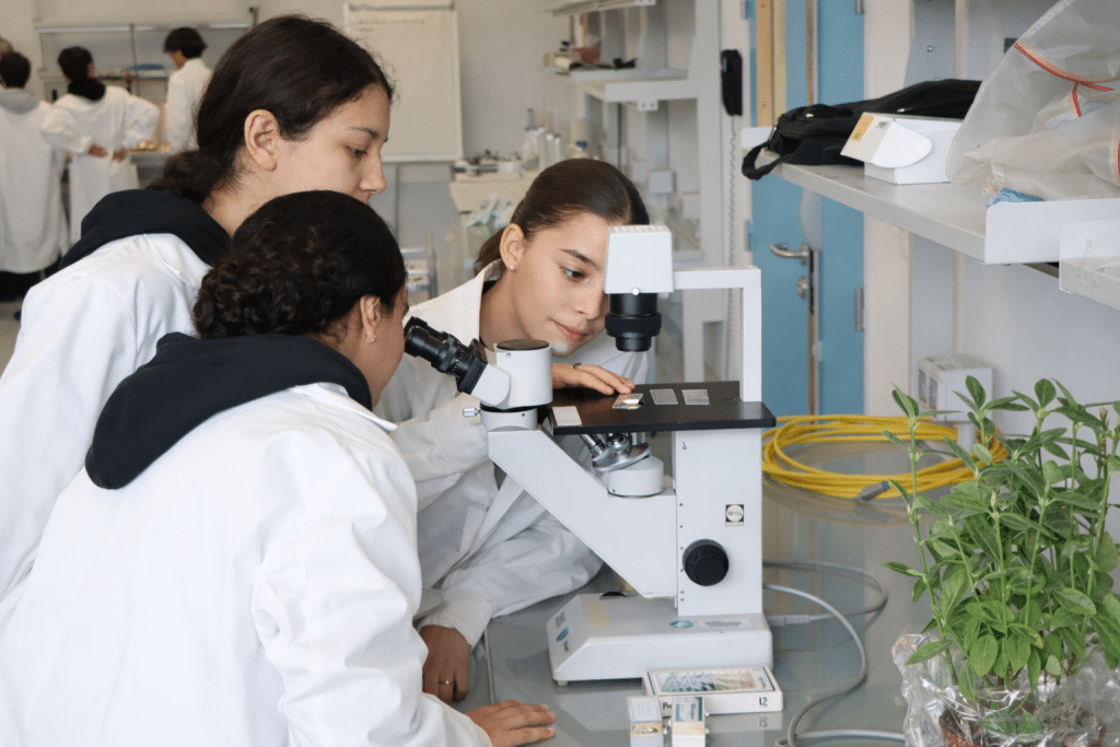 Cordée BIAM image retouchée