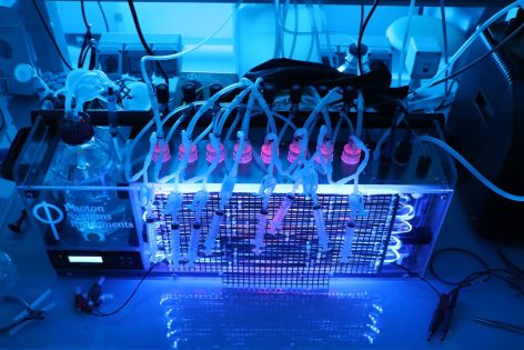 Photobioreactor Microalgues biocarburants troisième génération alguoacburants EBM